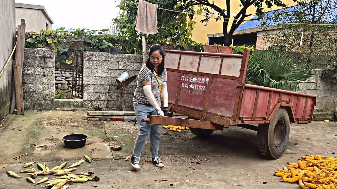 Female tractor driver Xiaofang, Hardworking Mom