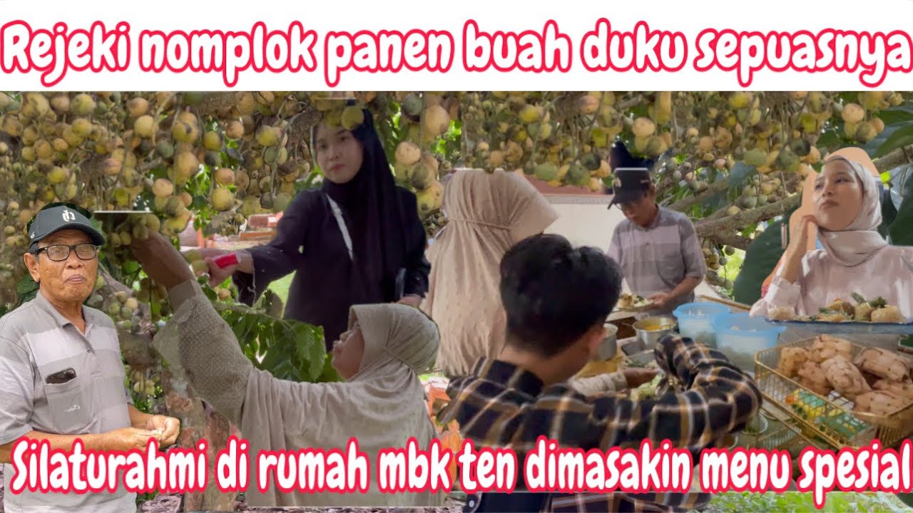 ALHAMDULILLAH REJEKI NOMPLOK PANEN DUKU SEPUASNYA || SILATURAHMI KE RUMAH MBK TEN SEUPUPU DAN BULEK