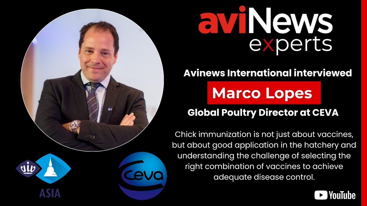 AviNews International interviewed Marco Lopes at VIV Asia 2025