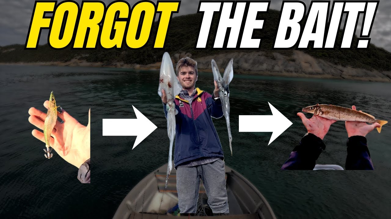 I FORGOT THE BAIT! Mixed Bag, Squid, Whiting and MORE!