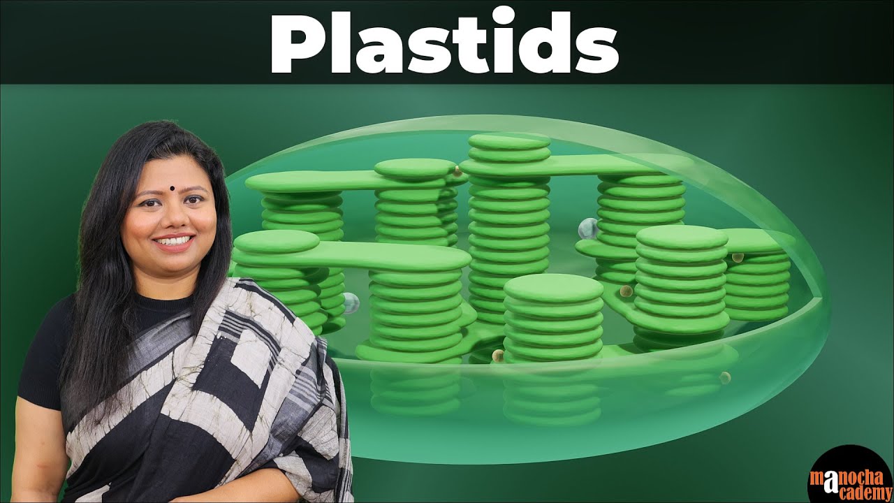 Plastids