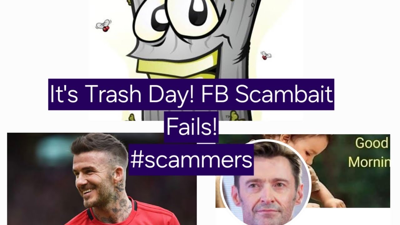 Scambait Fails Compilation!