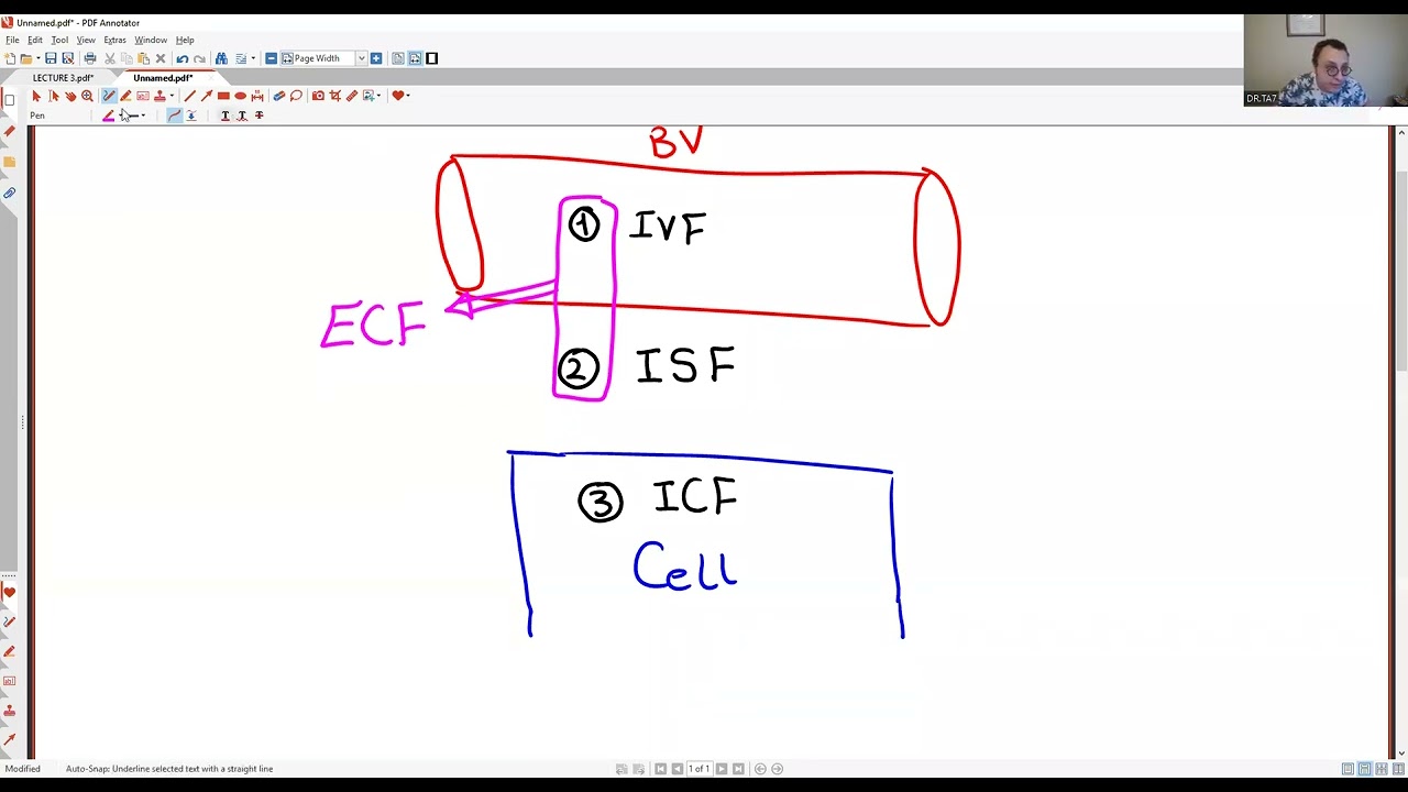 TA7 USMLE STEP 1 RENAL (NEW GROUP TRIAL LECTURE 3)
