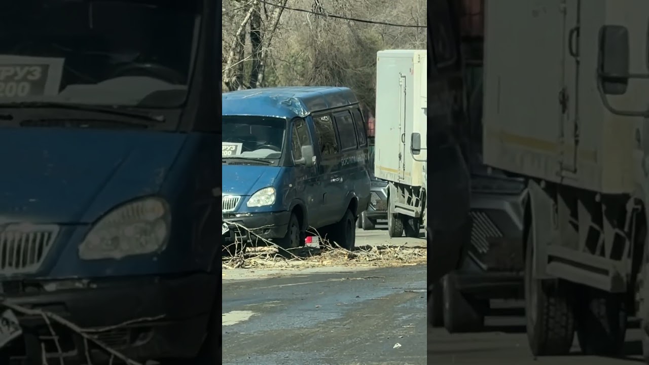 ДЕРЕВО УПАЛО НА МАШИНУ #авария #automobile #топ