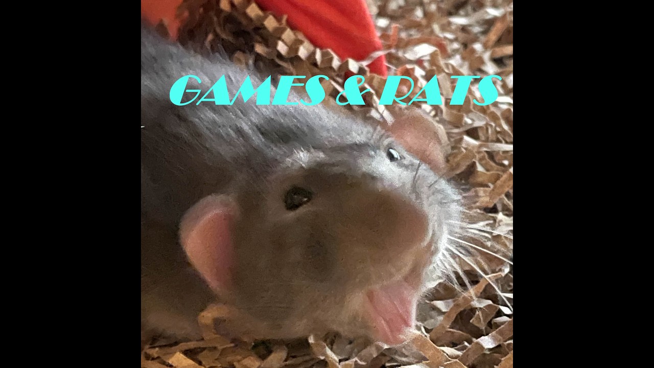 Ratcam and Beating Elden Ring For The First Time #eldenring #stream