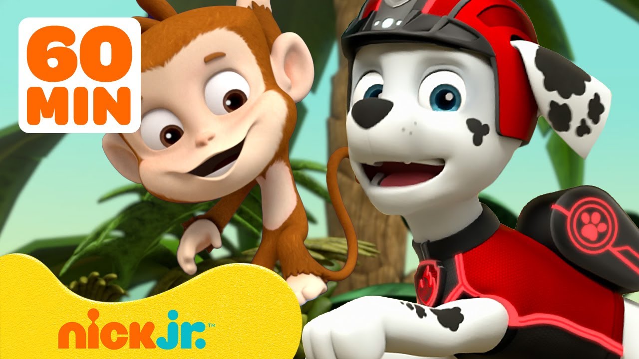 PAW Patrol Monkey Rescues & Adventures! w/ Marshall and Tracker 🐵 1 Hour Compilation | Nick Jr.