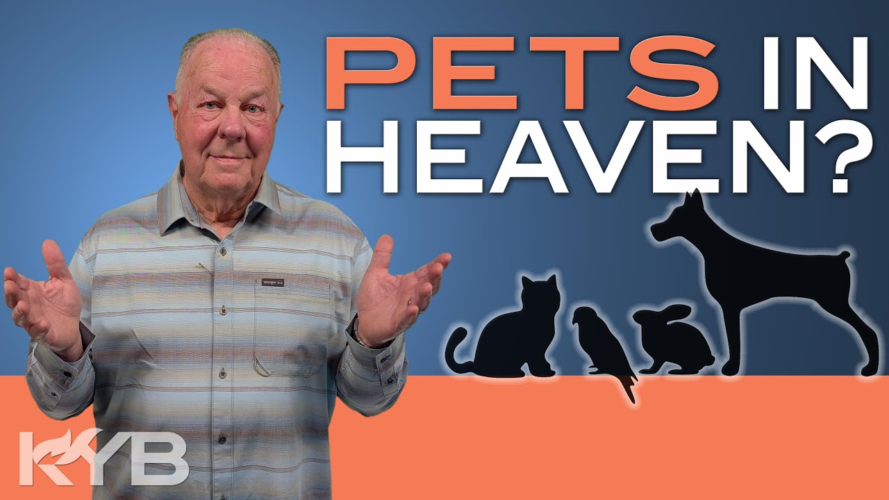 Q: Do Pets Go to Heaven?