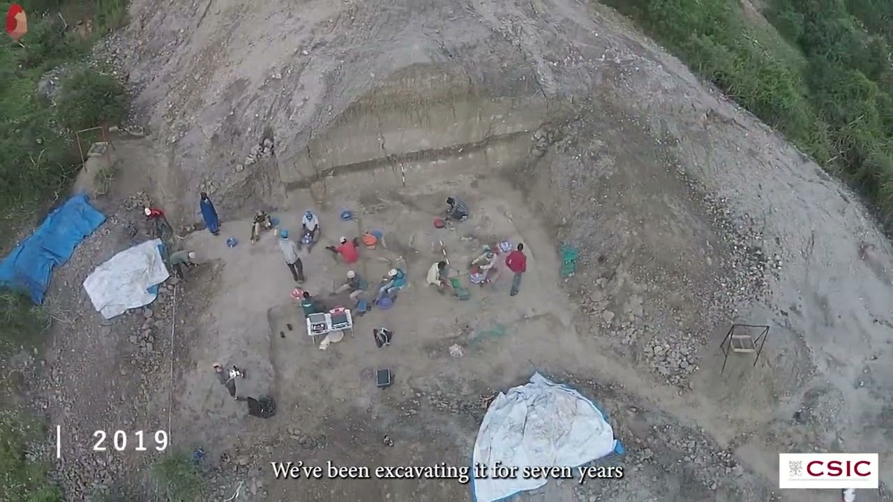 New findings reveal systematic production of bone tools 1.5 million years ago