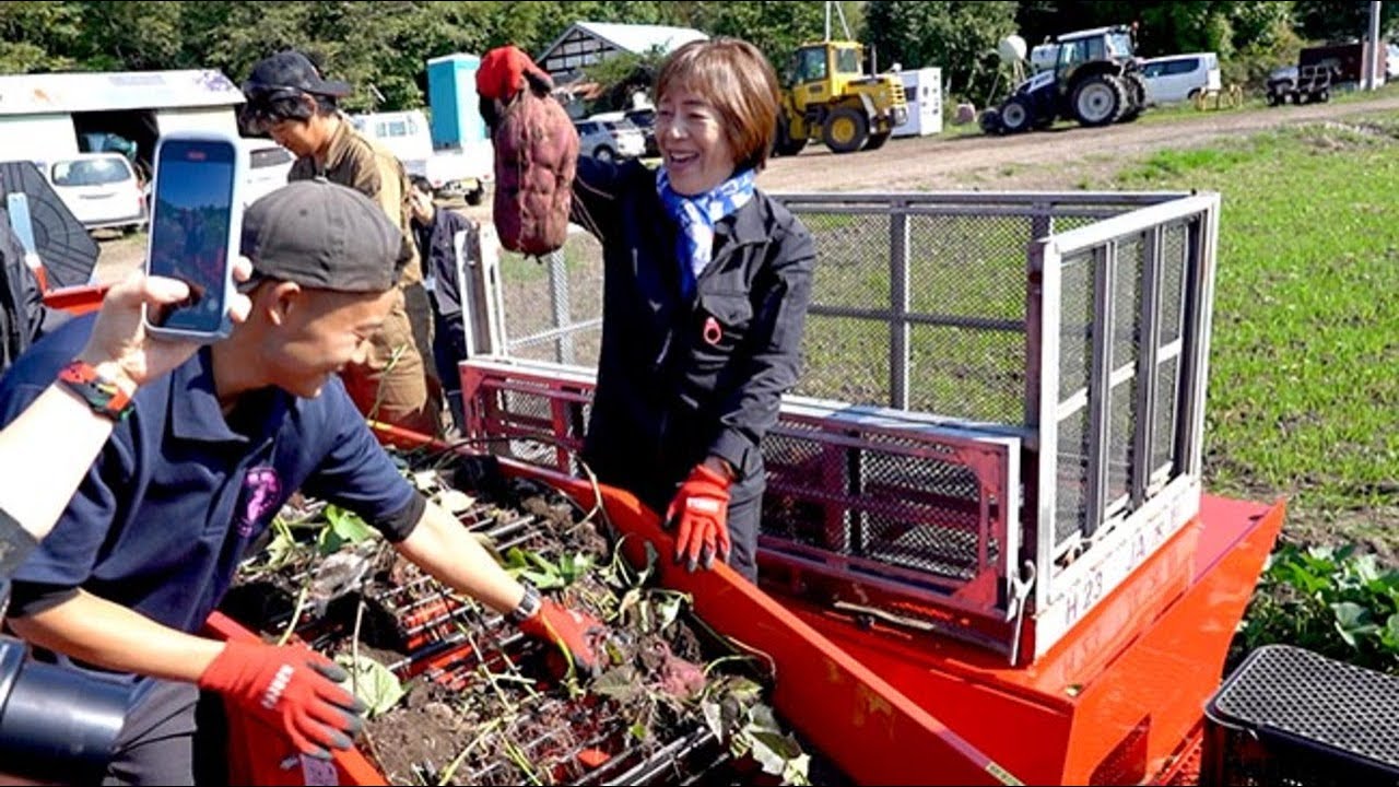 サツマイモ収穫の機械化を実証　木野農協