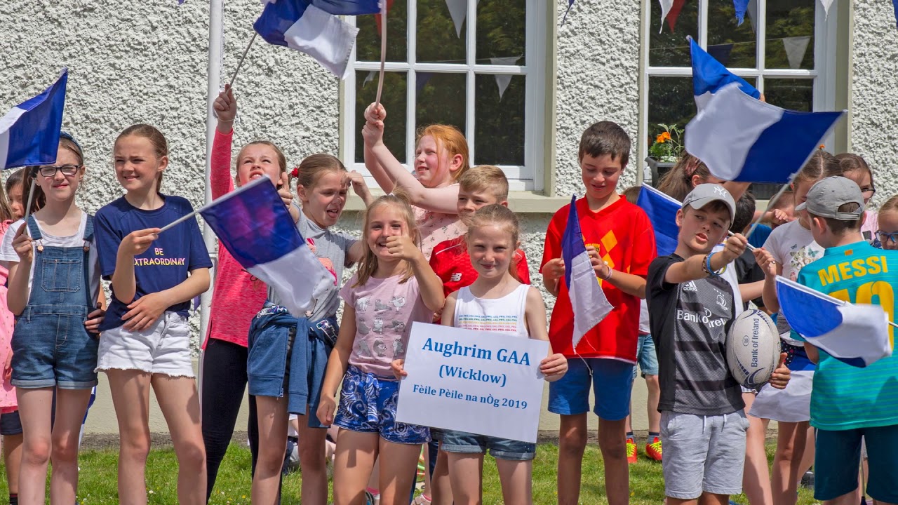 Feile 2019