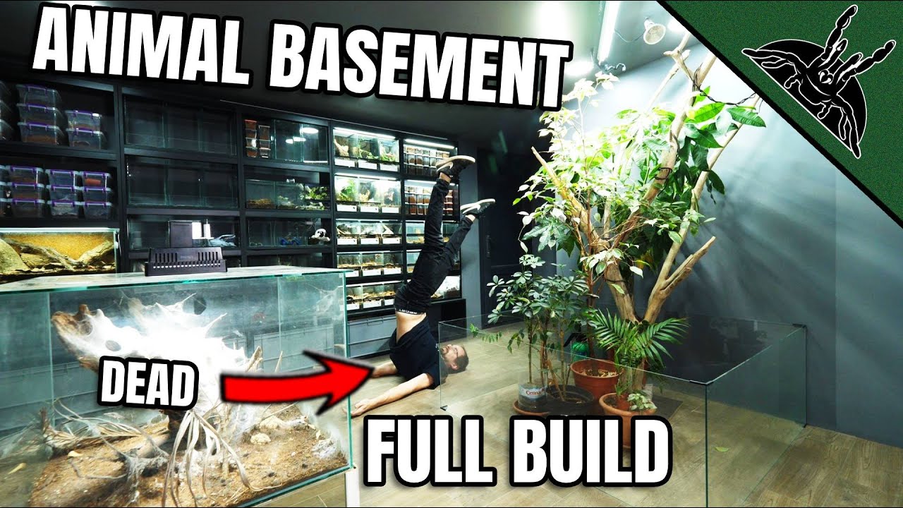 EPIC ANIMAL BASEMENT - I almost died while building this