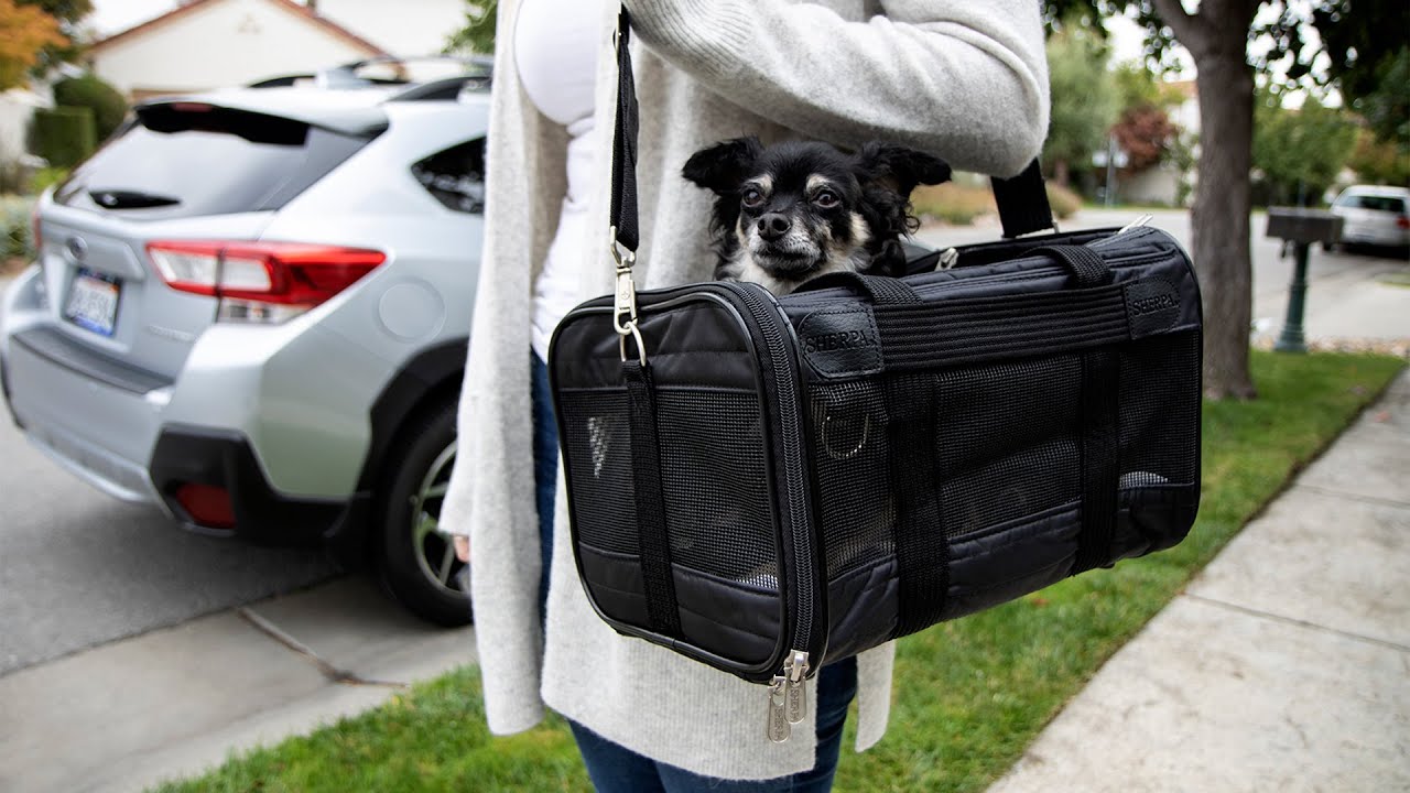 A Detailed Review of the Sherpa Cat Carrier