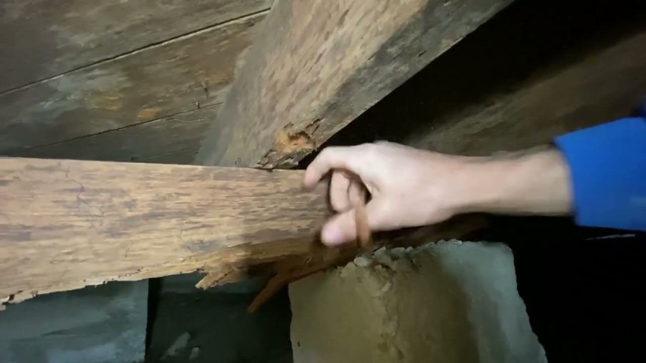 HOLY SCHNIKES! They've got DRY ROT like I've never seen.