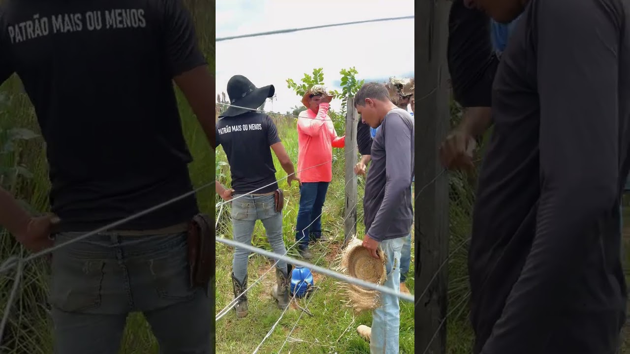Miguel querendo ajudar o vizinho