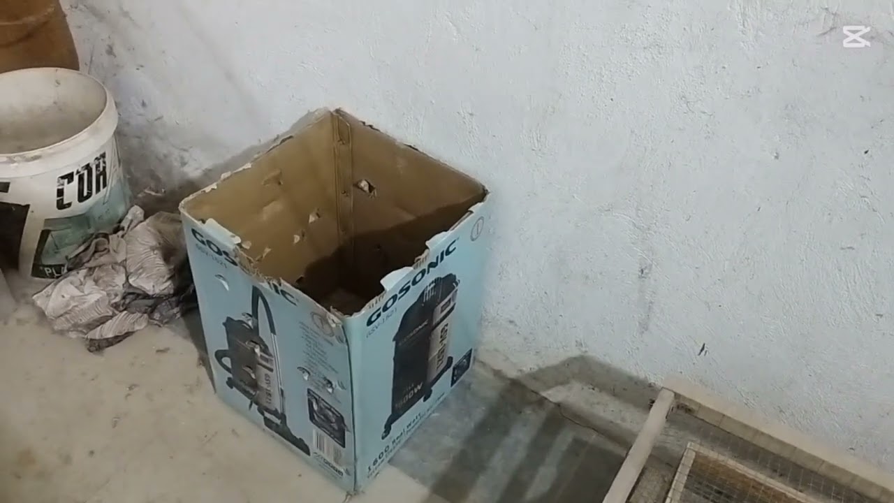 شرح عن تربية البوب وايت والدجاج من الألف الى الياء 