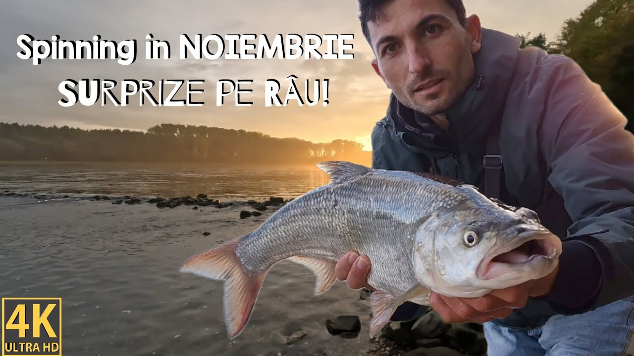 #pescuit #spinning in NOIEMBRIE-#naluci prinzatoare
