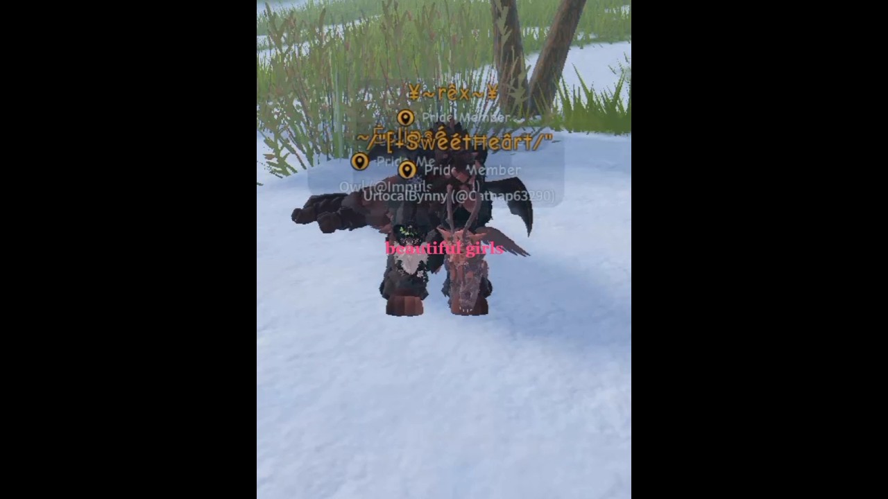 𝚋𝚎𝚊𝚞𝚝𝚒𝚏𝚞𝚕 𝚐𝚒𝚛𝚕𝚜| 