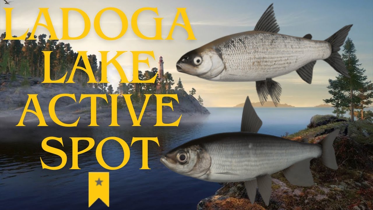Trophy Vendace and Ludoga Whitefish Active Spot | Russian Fishing 4 #9 (16/03/2025)
