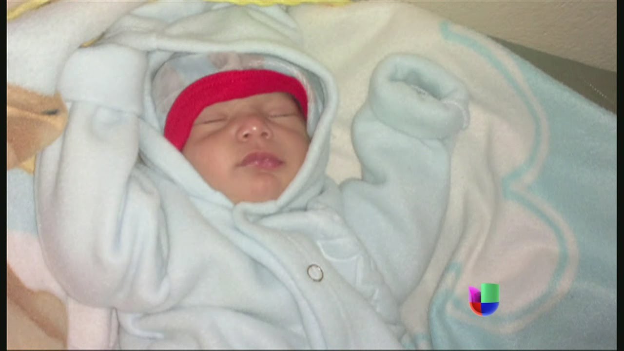 Perrita salvó la vida de un bebé - Noticiero Univisión
