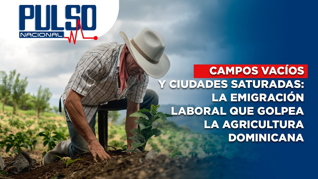 CAMPOS VACÍOS Y CIUDADES SATURADAS: LA EMIGRACIÓN LABORAL QUE GOLPEA LA AGRICULTURA DOMINICANA