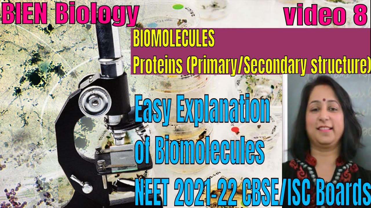 BIOMOLECULES Made easy | Proteins (Primary/Secondary Structure) |NEET 2021-22 | XI CBSE/ISC |ByBIEN