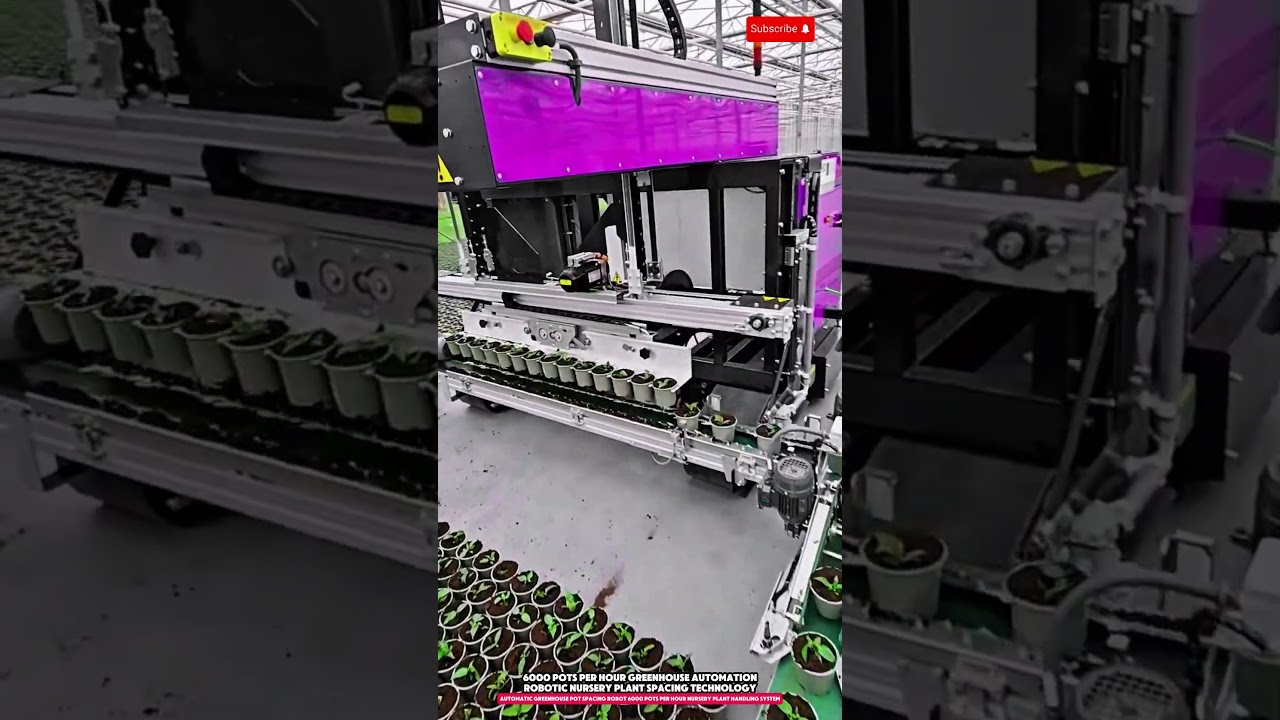 Automatic Greenhouse Pot Spacing Robot 6000 Pots per Hour Nursery Plant Handling System