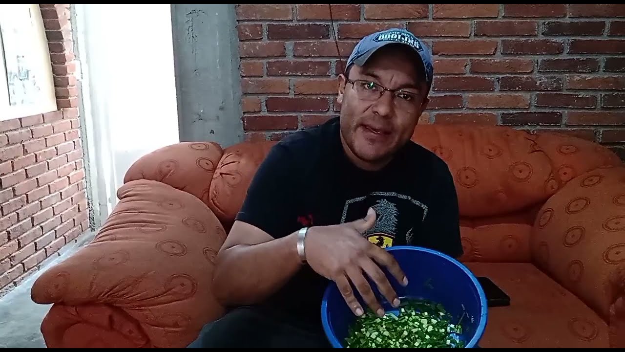 Alimentacion de Sulcatas Baby ¿Que debo ofrecer los 7 dias de la semana?