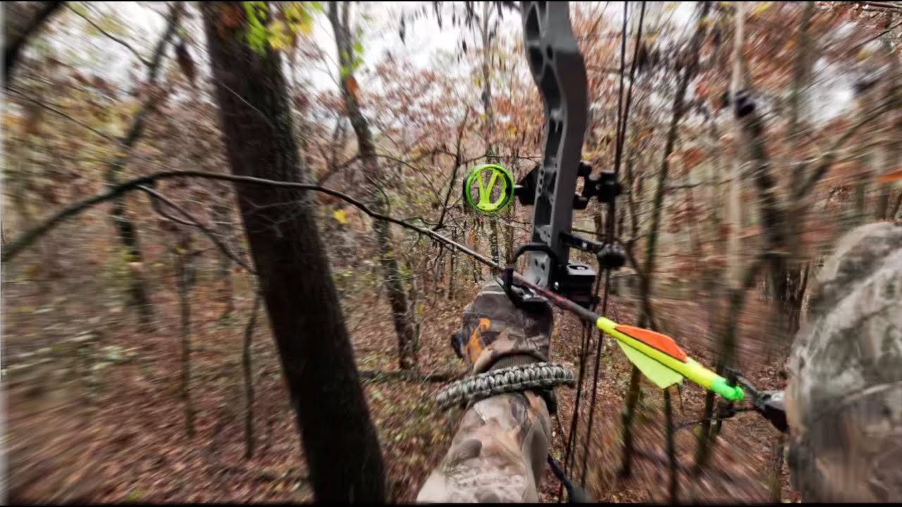 ARK Public land bowhunting from the ground (2024)