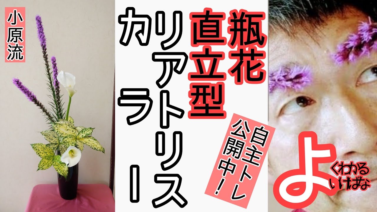【よくわかる生け花】いけばな小原流 瓶花 直立型　リアトリス　カラー　ドラセナゴッドセフィアーナ　の自主トレ風景です。 おうち生け花のヒントになれば幸いです。始めよういけばなレッスン