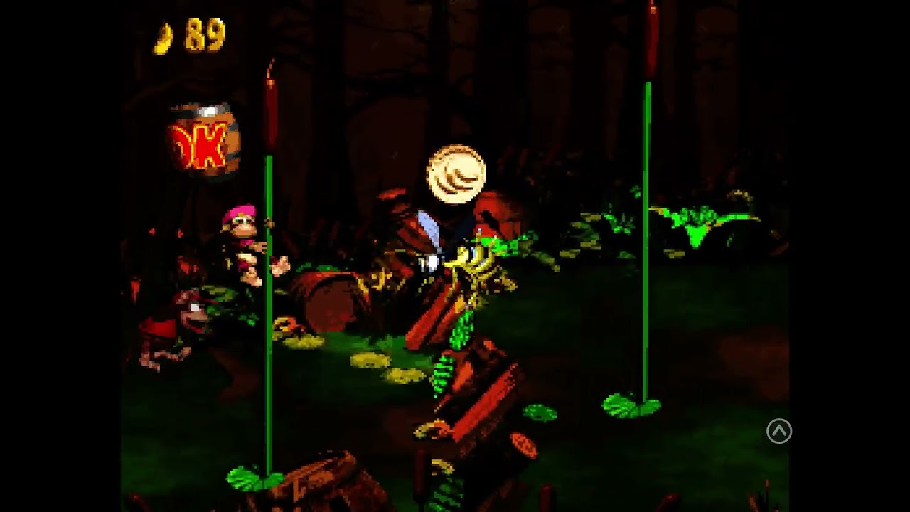Arin Hanson doesn’t like this game(Donkey Kong Country 2: Diddy’s Kong Quest(retroarch(sens(part 5