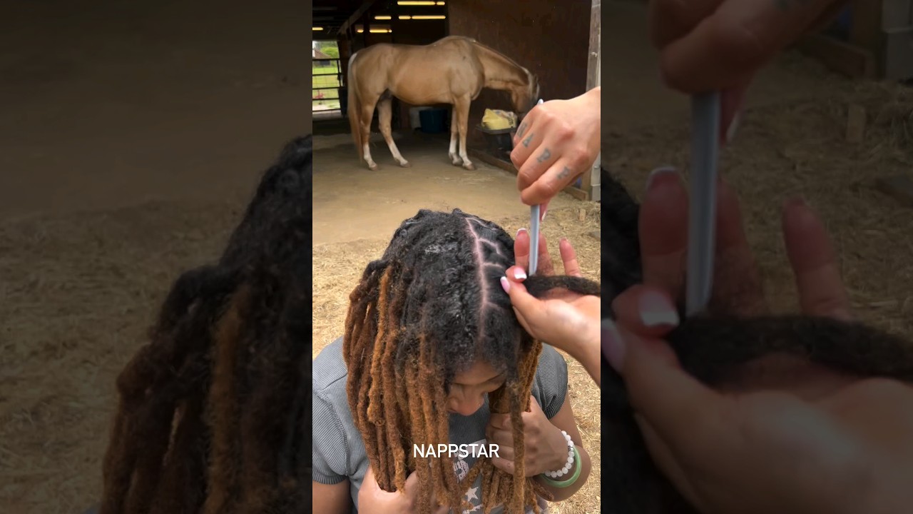 Comb Retwist anytime anywhere 🐎🐎 book your appointment www.NappStar.com #locs #locstylesforwomen