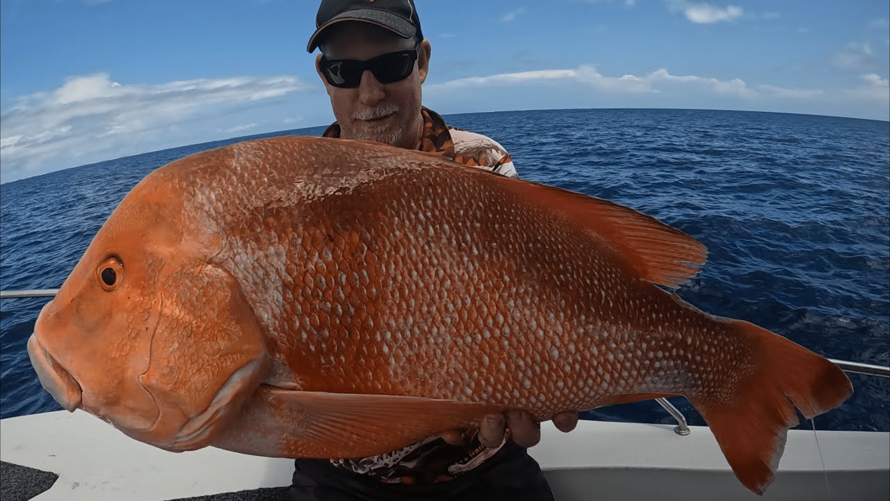 Camping Overnight at Tropical Islands Fishing for Giant Red Emperor,Nannygai and Dino Trout (Part 1)