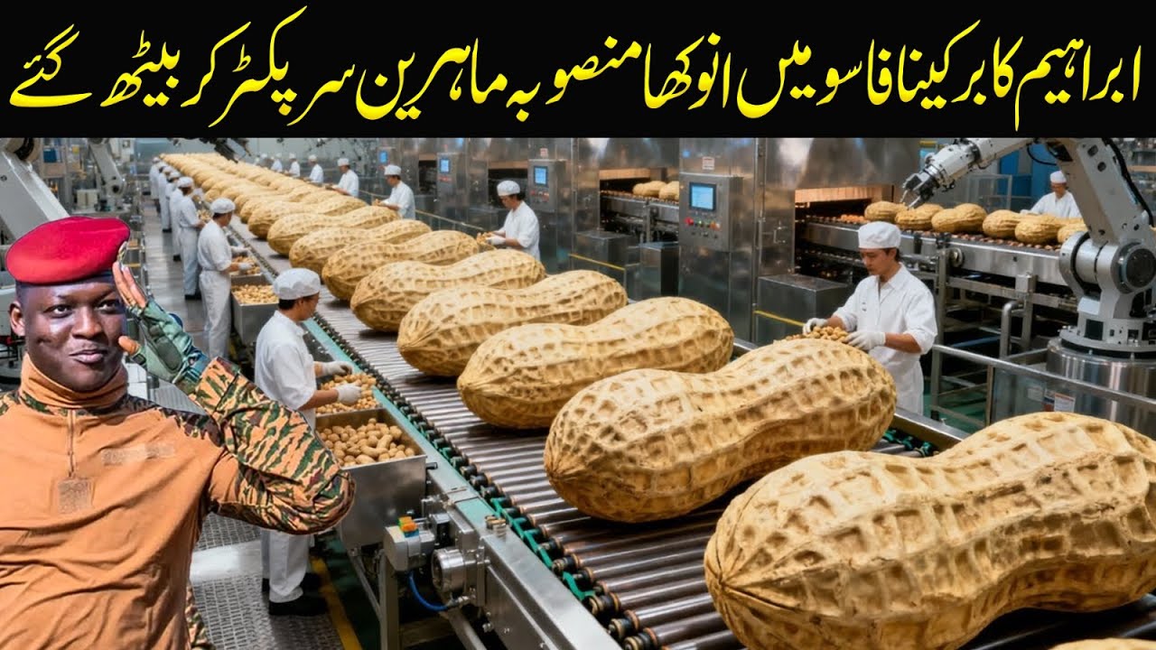 Inside a Crunchy Peanut Butter Factory: How They Make the Perfect Crunch (Full Process)