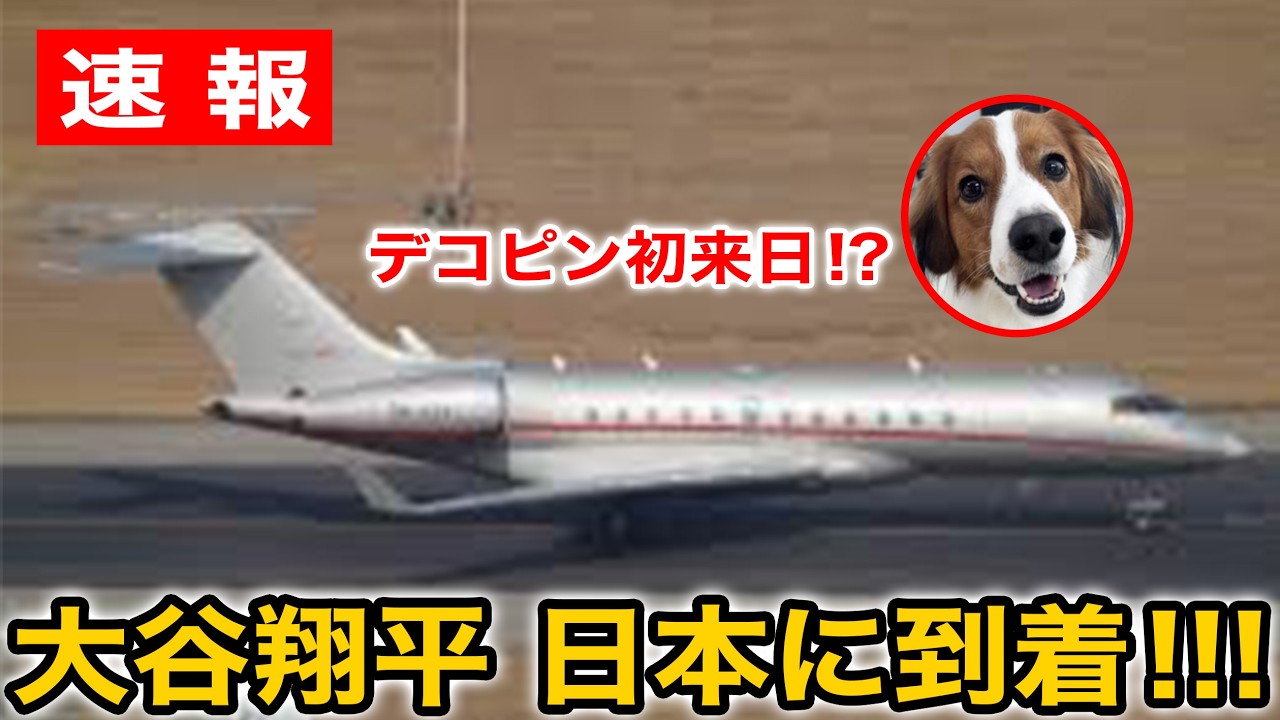 【緊急速報】大谷翔平がチャーター機で真美子夫人と娘と共に日本に到着！デコピンは初来日！？この後、侍ジャパンと合流へ！【WBC/海外の反応】