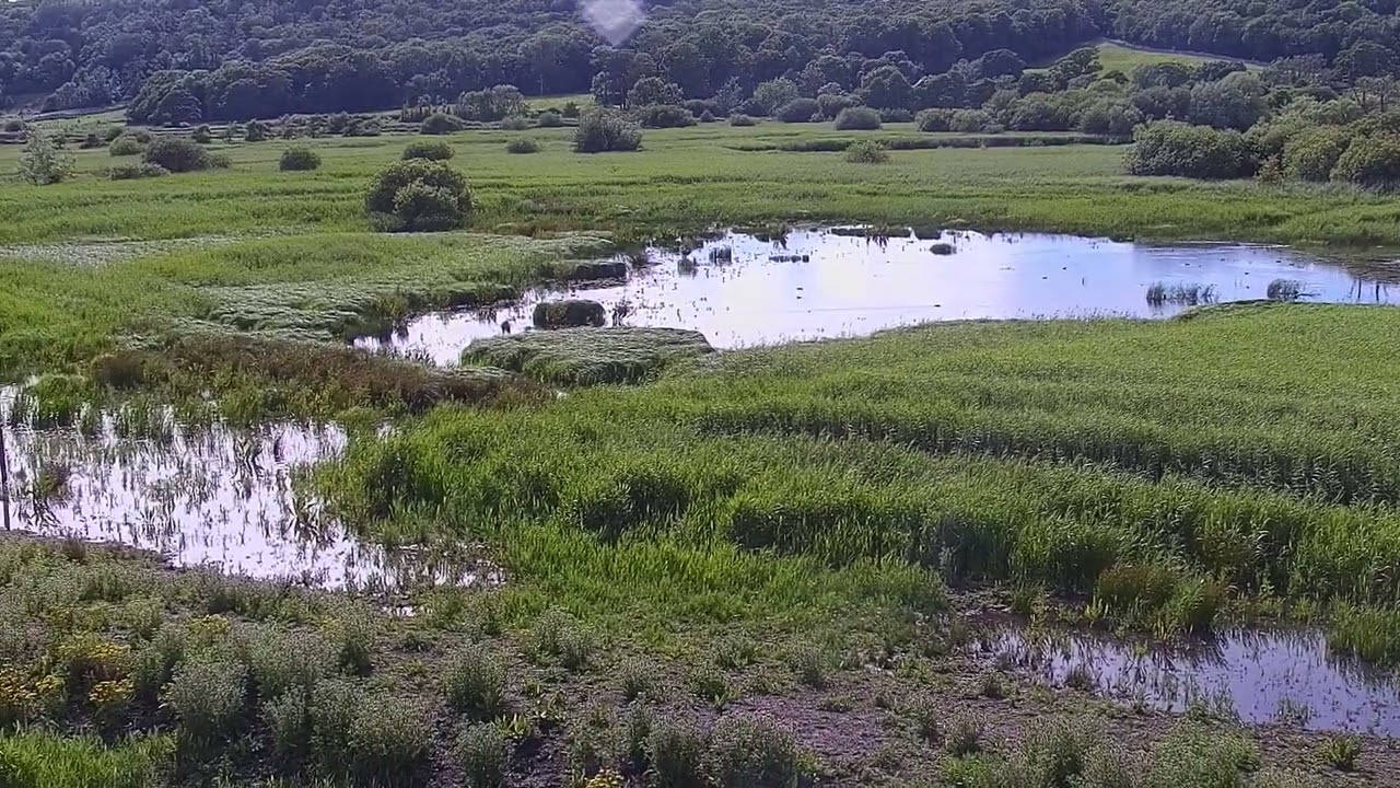Patrol round Leighton Moss reserve from the Osprey platform