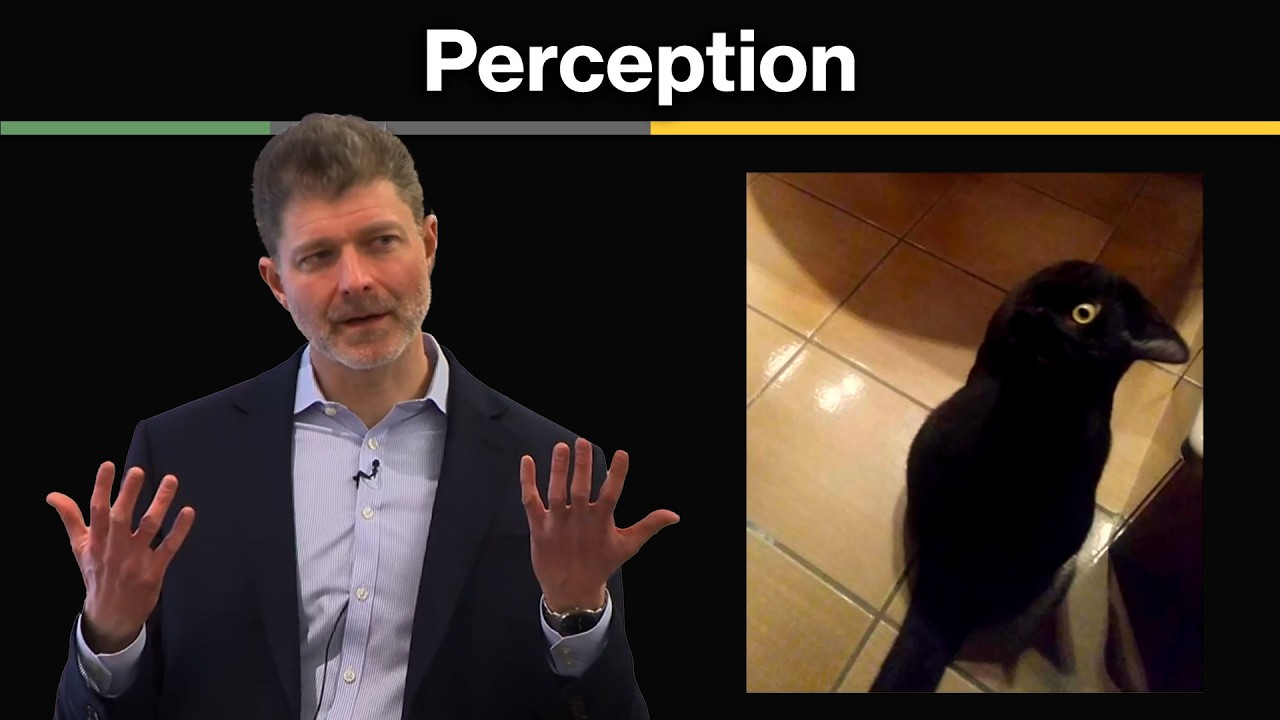 1: Introduction to Perception