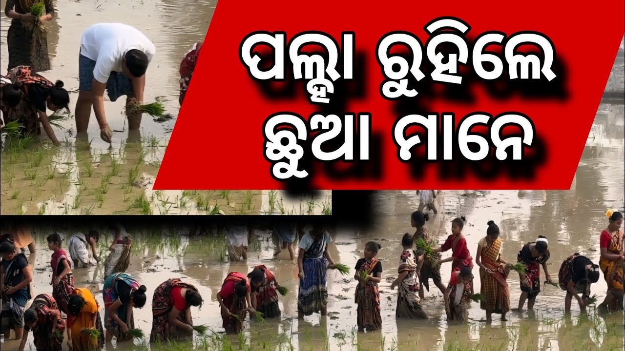 ସିଖଲେ ଚାଷୀ ମାନକୁ ରେସପେକ୍ଟ ଦେବାର୍ 