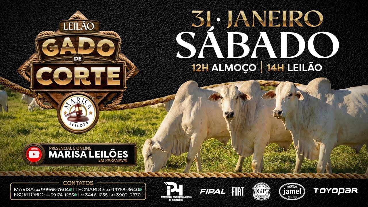 Leilão - Ao Vivo Marisa Leilões - 31 de JANEIRO 2026  -  Paranavaí-PR