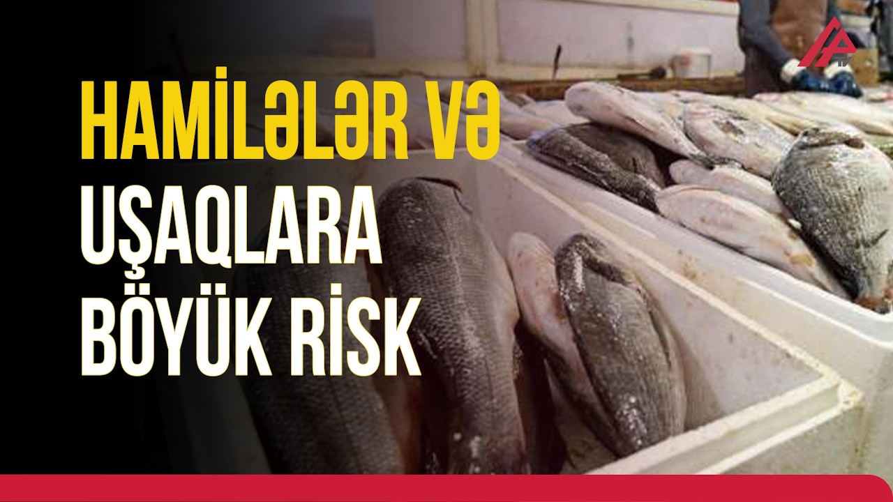 Bu balıqlarla bağlı xəbərdarlıq: Süfrənizdə gizli təhlükə...  | APA TV