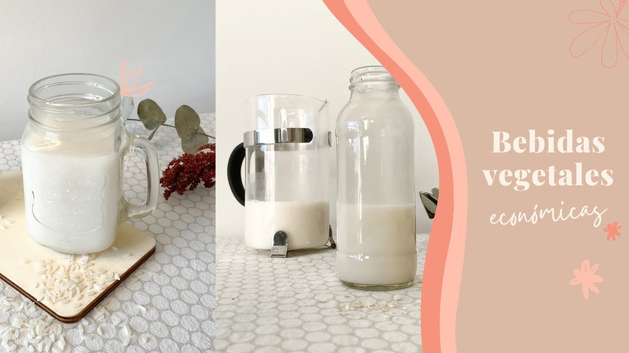 CÓMO HACER LECHE DE AVENA Y DE ARROZ 🥛 | Bebidas vegetales económicas 🌿