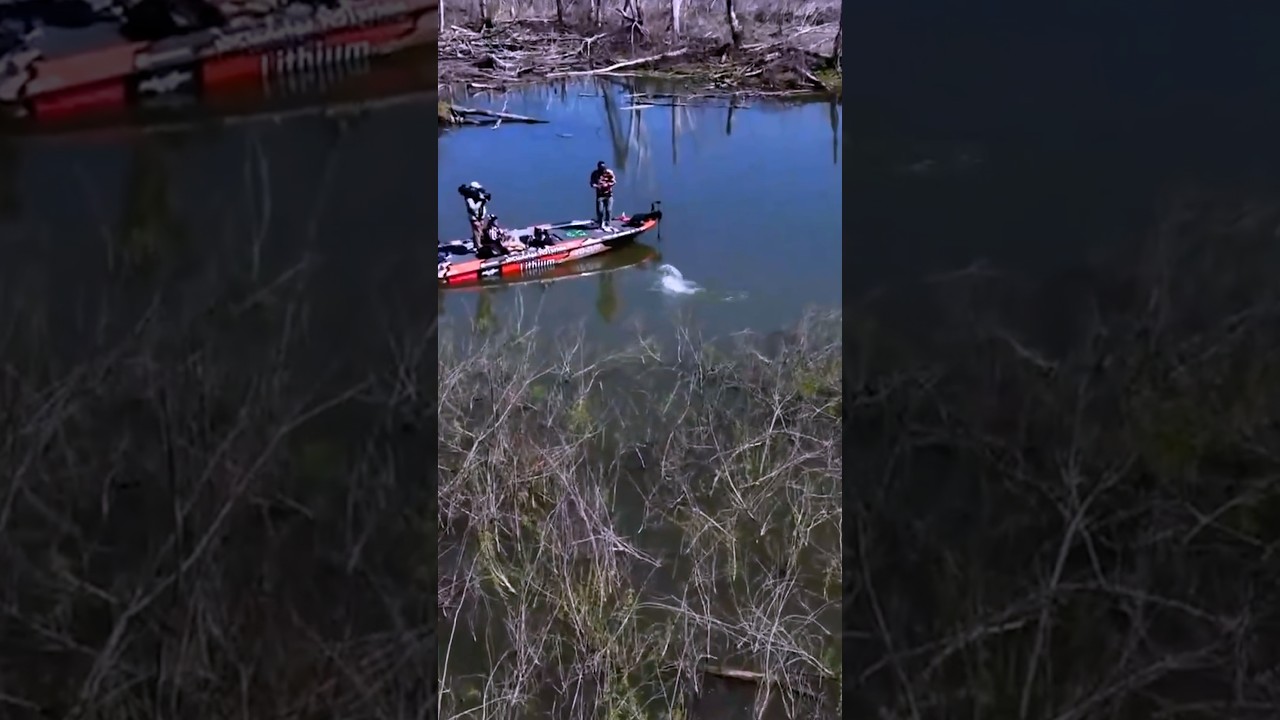 Браво съемочной группе Bass Pro Tour за такие моменты на озере Уэйко! Рыбак: Зак Бирдж