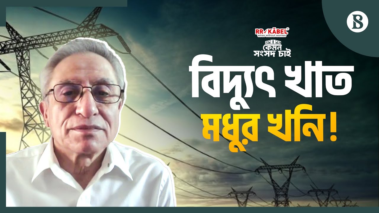 কারা ভিড় করেছে মধু খাওয়ার জন্য? | Bangladesh Power Sector | The Business Standard