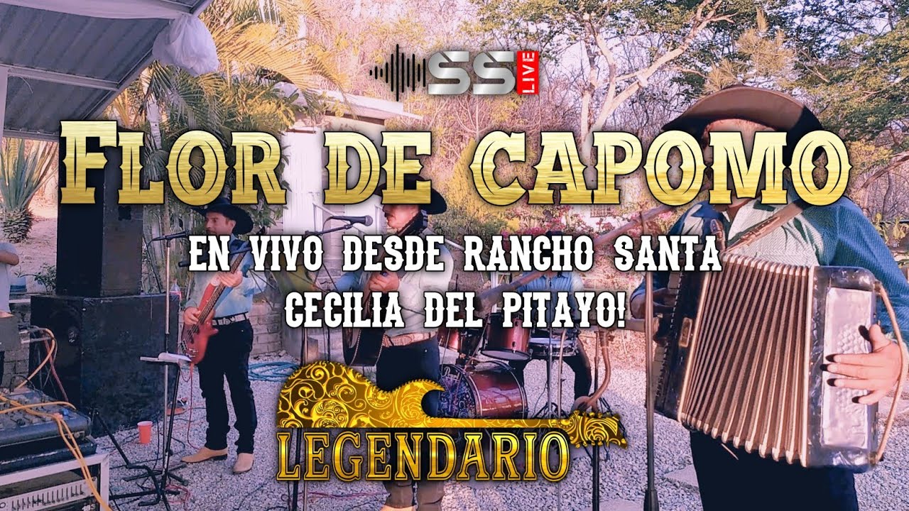 Flor de capomo - Legendario Norteño (cover)norteña/regional