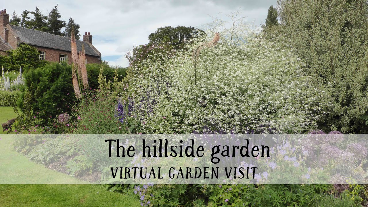 Edge Villa, Shropshire: the hillside garden
