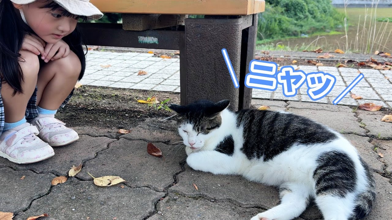 寝言を言う野良猫とお喋りしたい幼女たち　／　Two young Japanese girls want to chat with a stray cat who talks in his sleep.