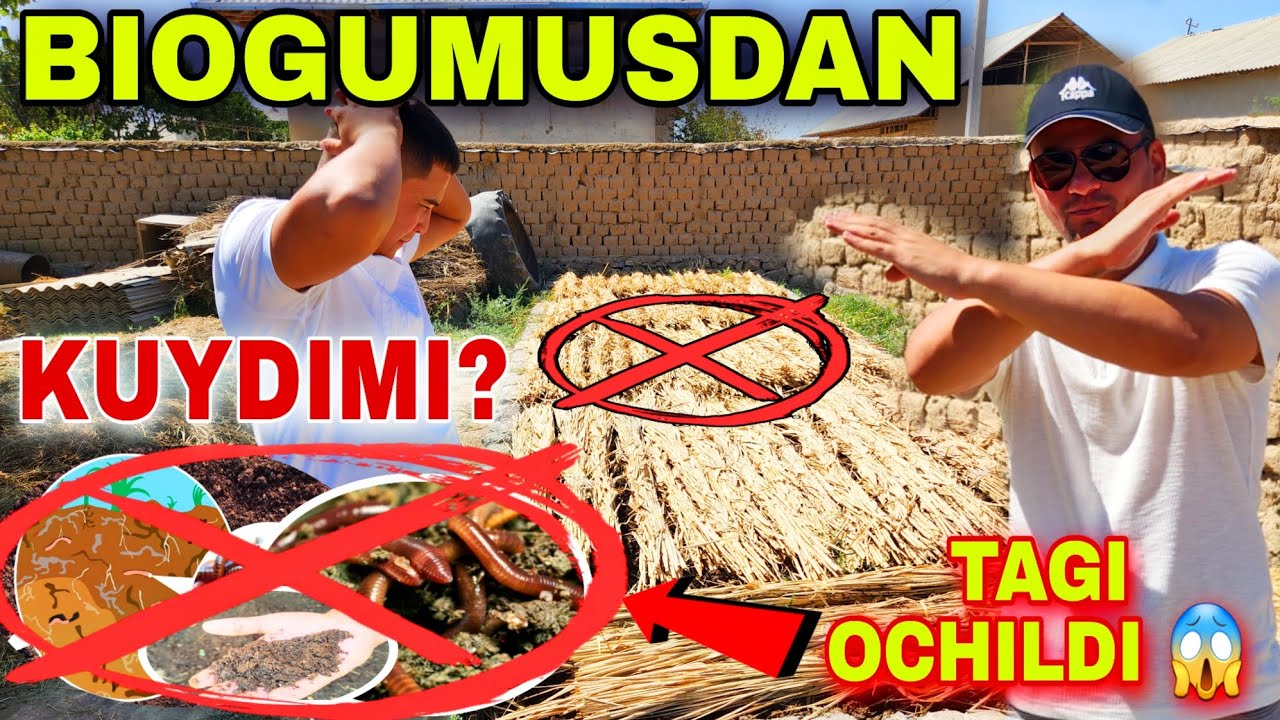 DAXSHAT  BIOGUMUS  SIRLAR OCHILDI XAMMA BILISHI SHART BIOGUMUS KALIFORNIYA CHUVALCHANGI XAQIQATLARI