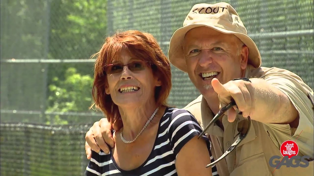 Bromas de animales salvajes - para morirse de risa