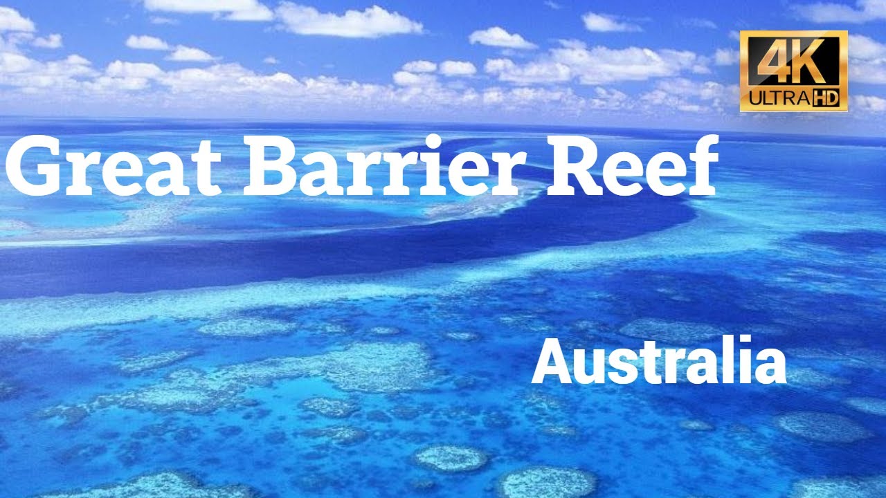 Great Barrier Reef | UNESCO World Heritage Site | 4K HD Australia Travel Guide