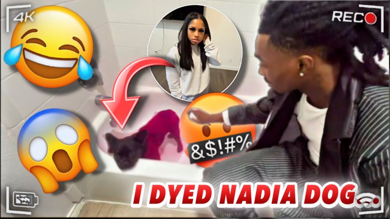 I DYED NADIA’S PUPPY PINK TO GET HER REACTION * SHE WAS HEATED*