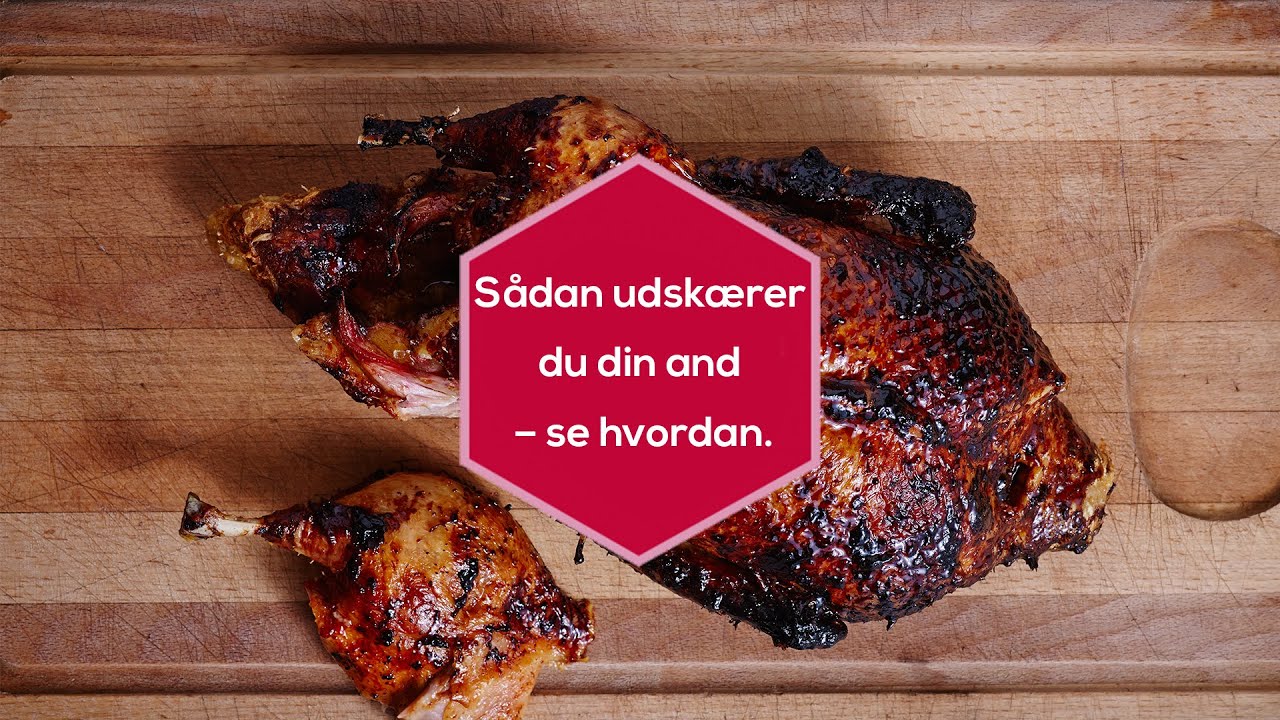Udskæring af and - Sådan parterer du en andesteg